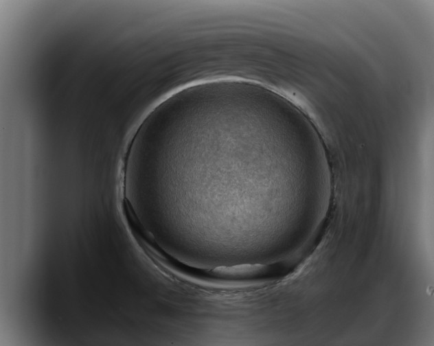 X0000088371524200705291317