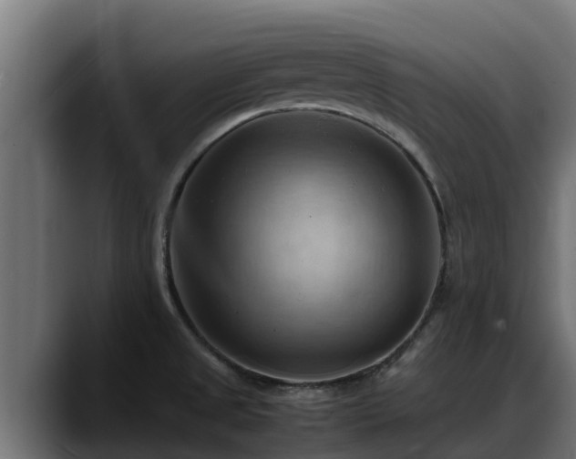 X0000088371525200705291317