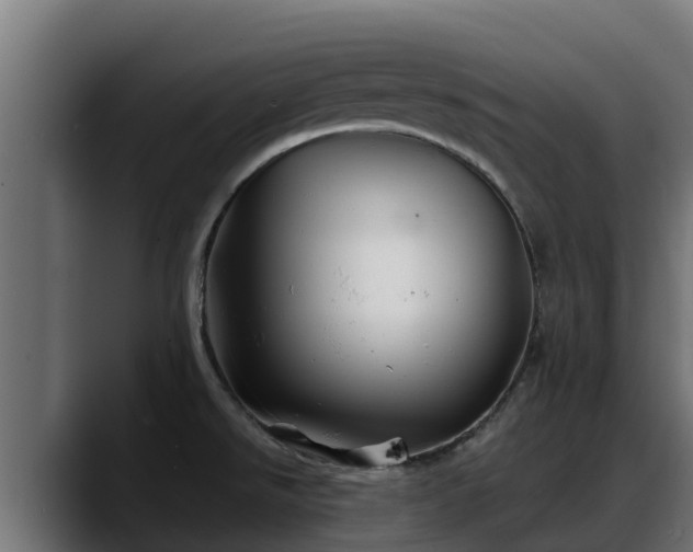X0000088371526200705291317