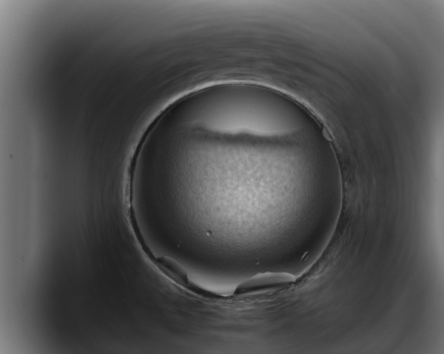 X0000088371527200705291317