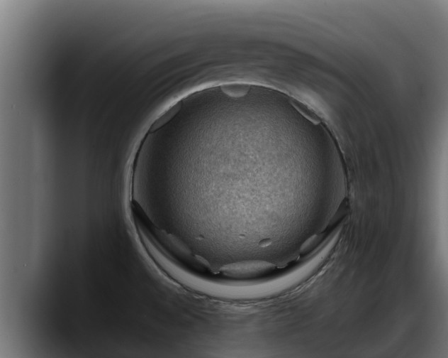 X0000088371528200705291317