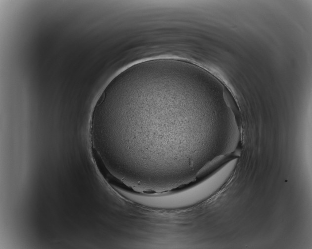 X0000088371532200705291317