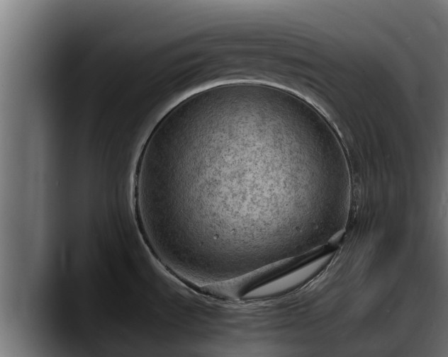X0000088371535200705291317