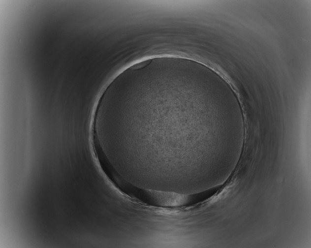 X0000088371536200705291317