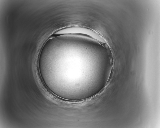 X0000088370001200706051050