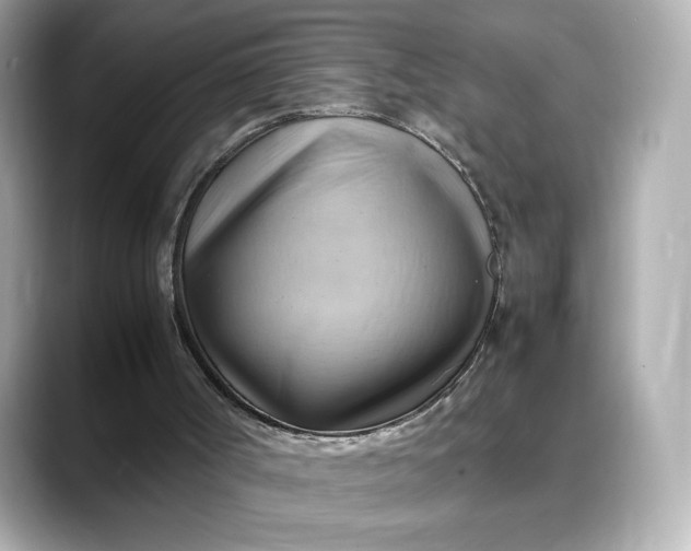 X0000088370002200706051050