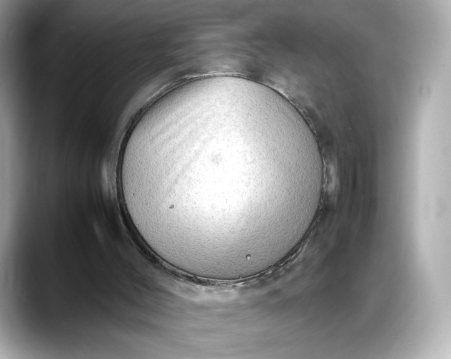 X0000088370004200706051050