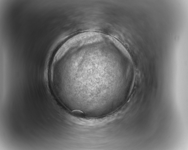 X0000088370006200706051050