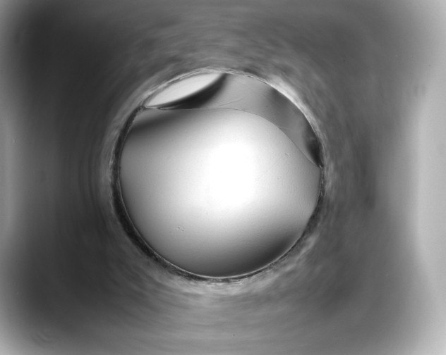 X0000088370007200706051049