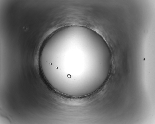 X0000088370008200706051049