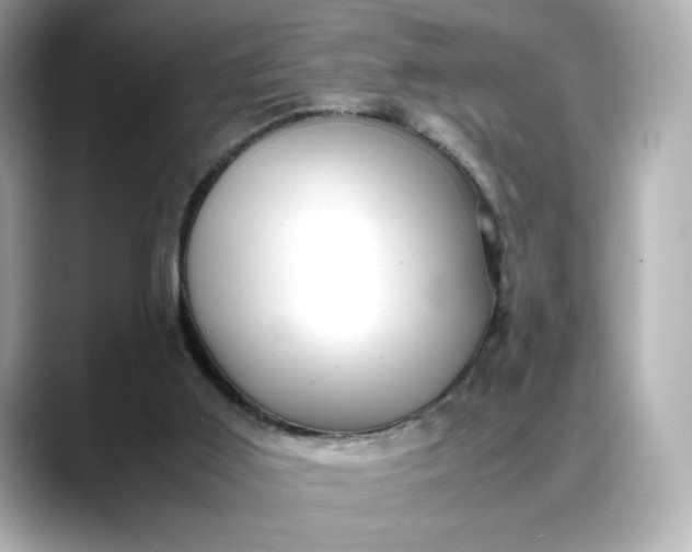 X0000088370011200706051049