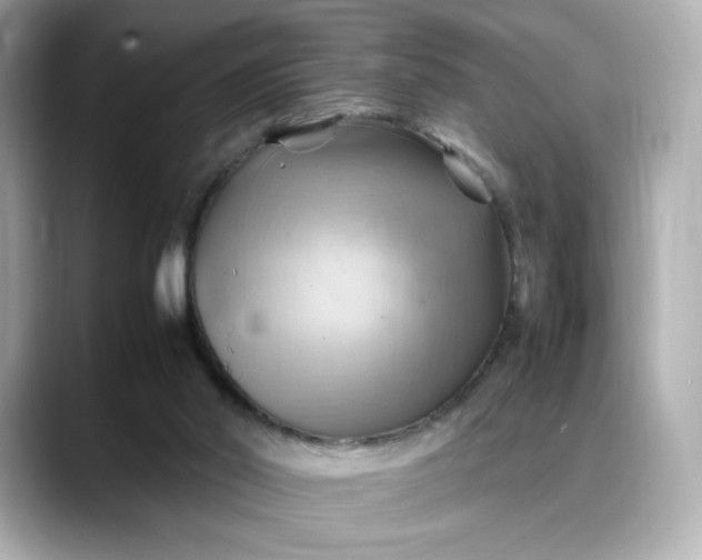 X0000088370014200706051049