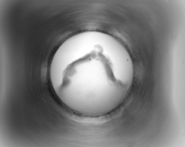 X0000088370016200706051049