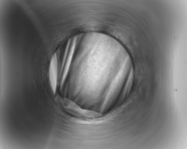 X0000088370017200706051049