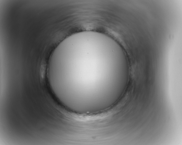 X0000088370018200706051049