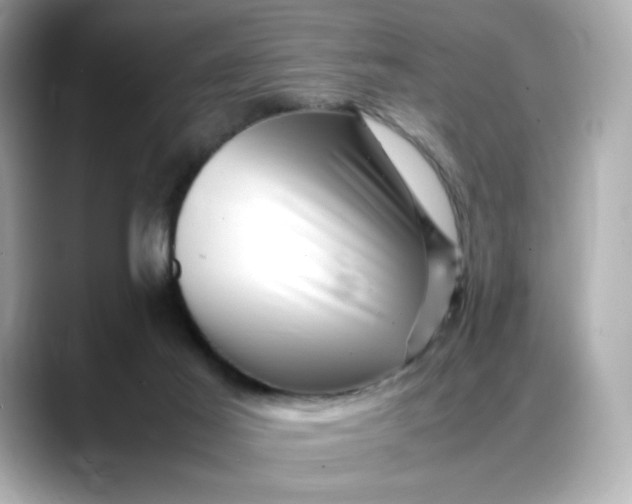X0000088370021200706051049