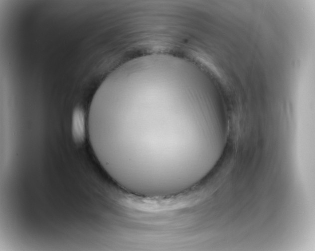X0000088370022200706051049