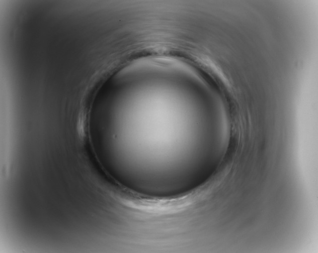 X0000088370023200706051049