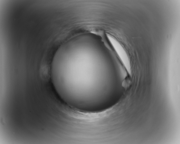 X0000088370031200706051049