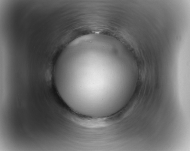 X0000088370032200706051049