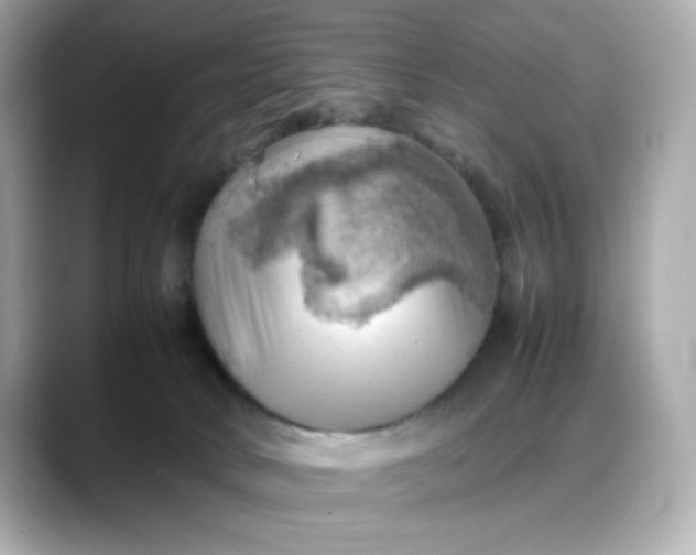 X0000088370034200706051049