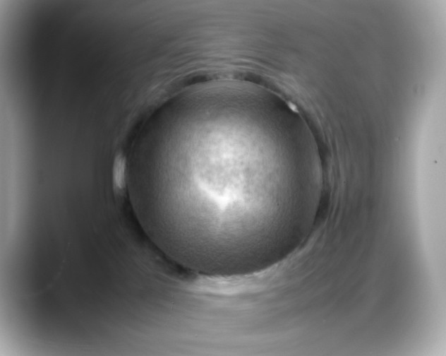 X0000088370041200706051049