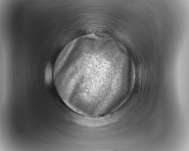 X0000088370042200706051049