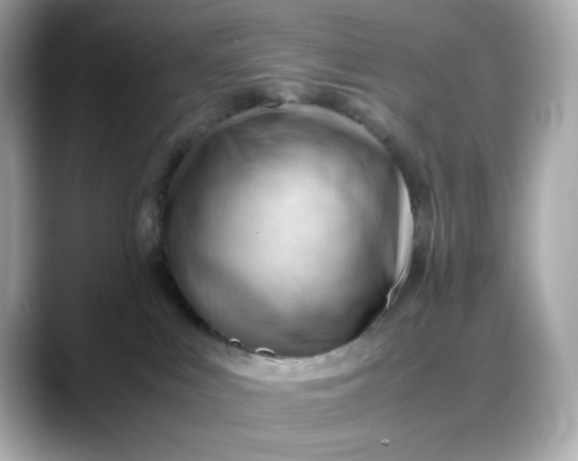 X0000088370043200706051049