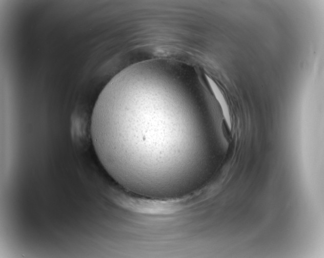 X0000088370044200706051049
