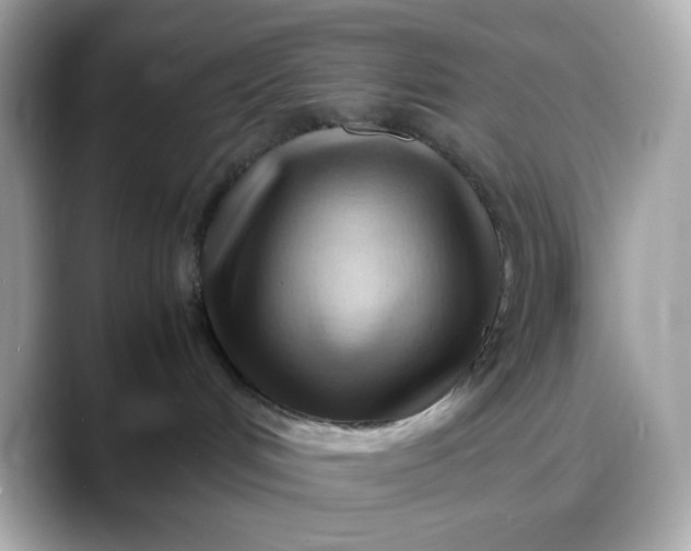 X0000088370048200706051049