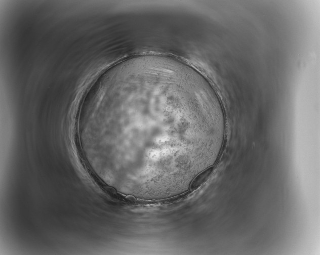 X0000088370049200706051048