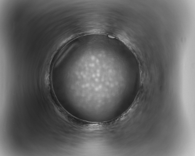 X0000088370050200706051048