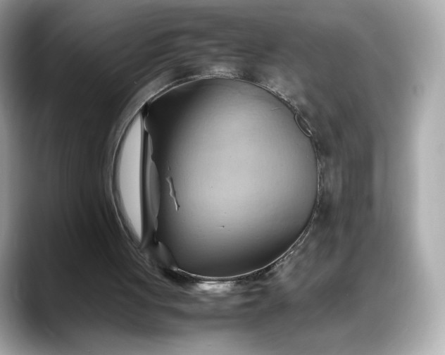 X0000088370051200706051048