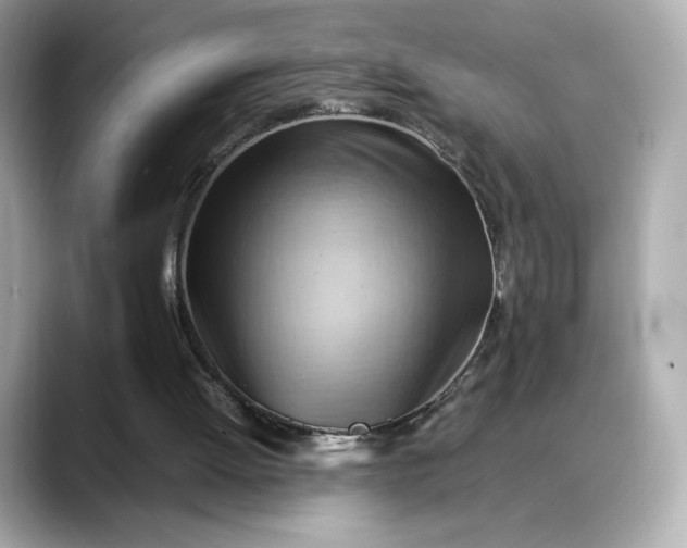 X0000088370052200706051048