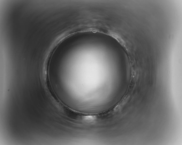 X0000088370053200706051049