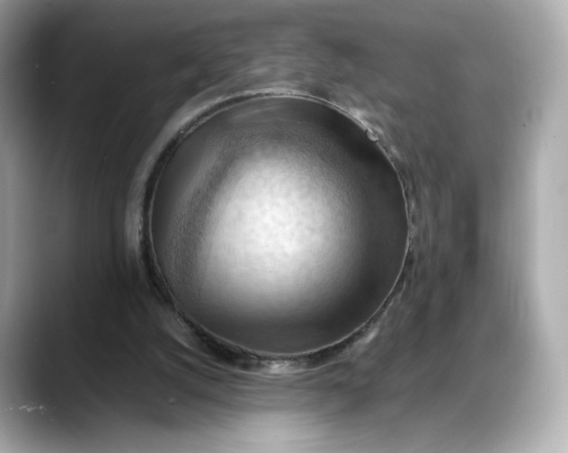X0000088370056200706051049