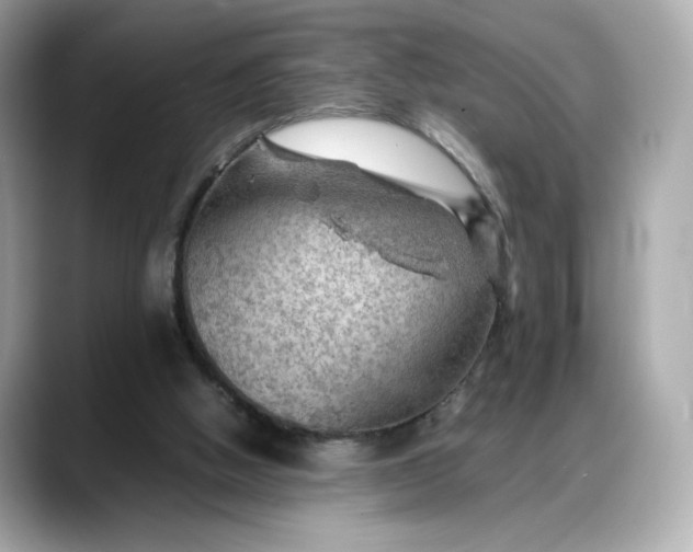 X0000088370058200706051049
