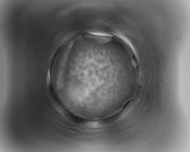 X0000088370061200706051049