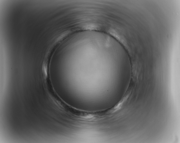 X0000088370062200706051049