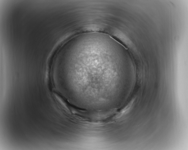 X0000088370064200706051049