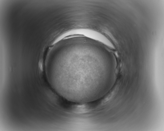 X0000088370068200706051049