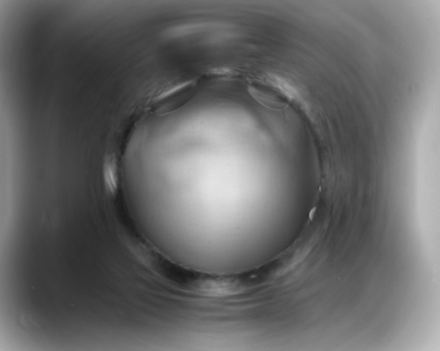 X0000088370069200706051049