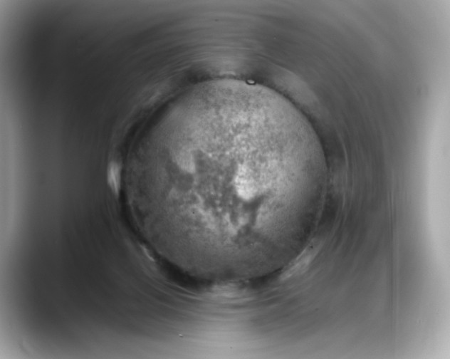 X0000088370070200706051049