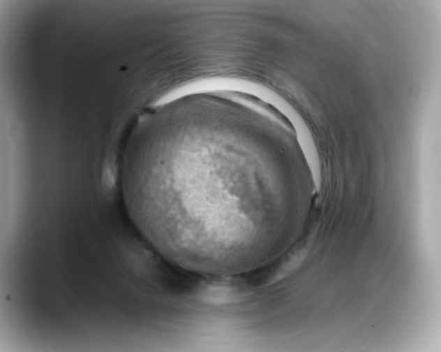 X0000088370072200706051049