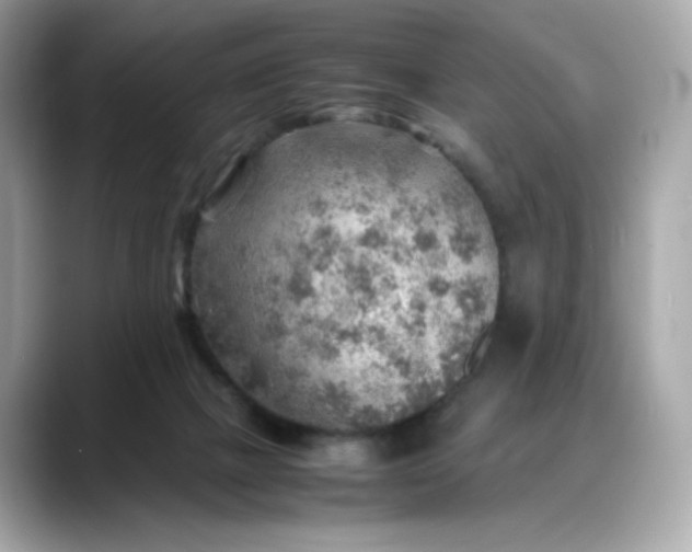 X0000088370073200706051049