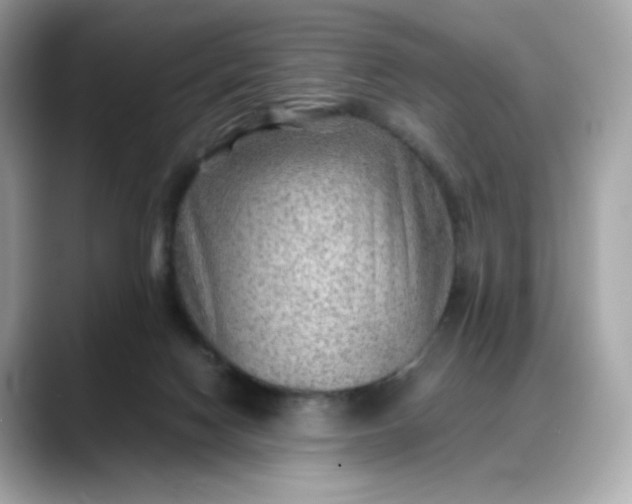 X0000088370074200706051049
