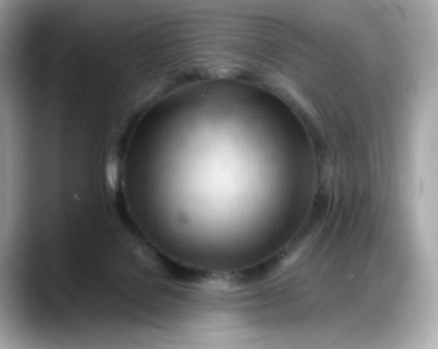 X0000088370076200706051049