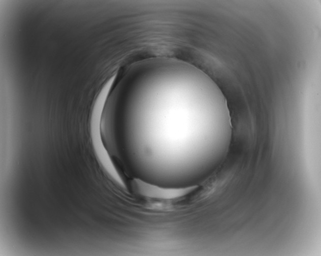 X0000088370084200706051049