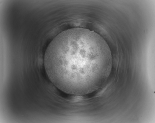 X0000088370085200706051049