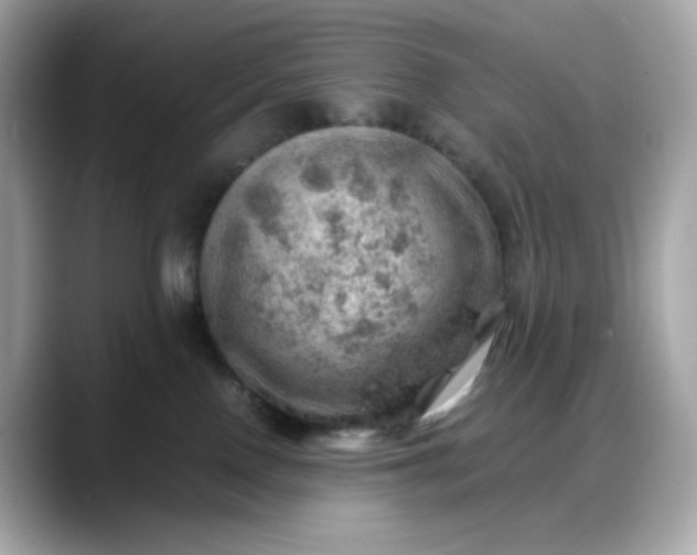 X0000088370090200706051049